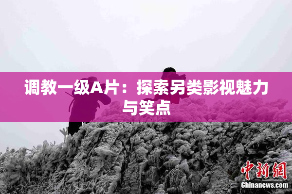 调教一级A片：探索另类影视魅力与笑点