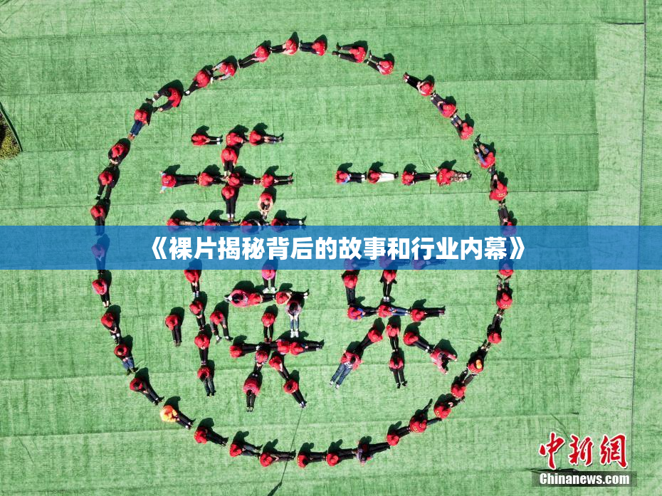 《裸片揭秘背后的故事和行业内幕》