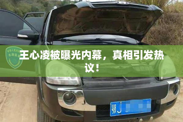 王心凌被曝光内幕，真相引发热议！