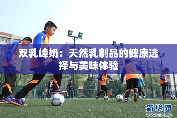 双乳峰奶：天然乳制品的健康选择与美味体验