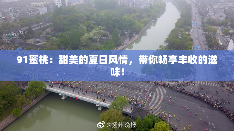 91蜜桃：甜美的夏日风情，带你畅享丰收的滋味！