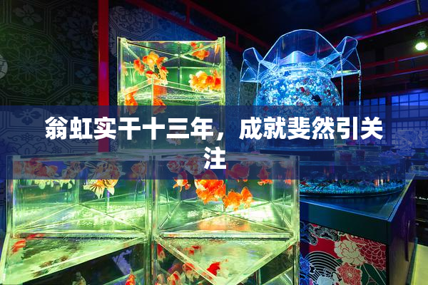 翁虹实干十三年，成就斐然引关注