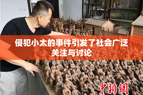 侵犯小太的事件引发了社会广泛关注与讨论