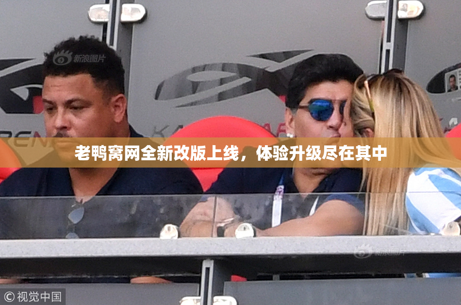 老鸭窝网全新改版上线，体验升级尽在其中