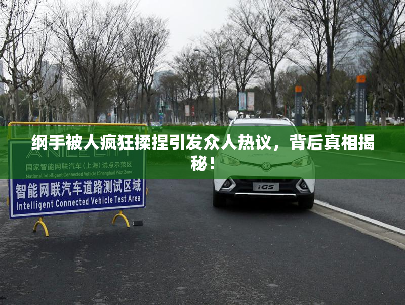 纲手被人疯狂揉捏引发众人热议，背后真相揭秘！