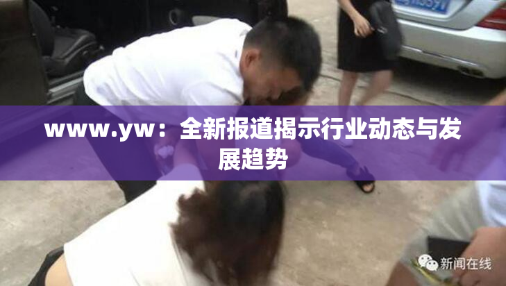www.yw：全新报道揭示行业动态与发展趋势