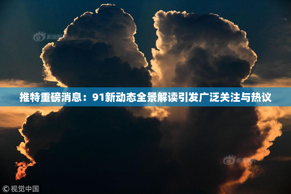 推特重磅消息：91新动态全景解读引发广泛关注与热议