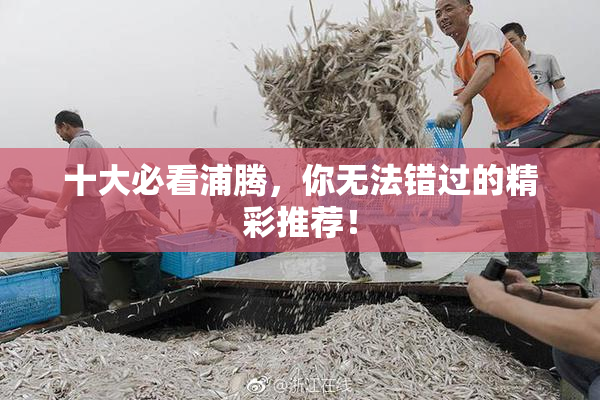 十大必看浦腾，你无法错过的精彩推荐！