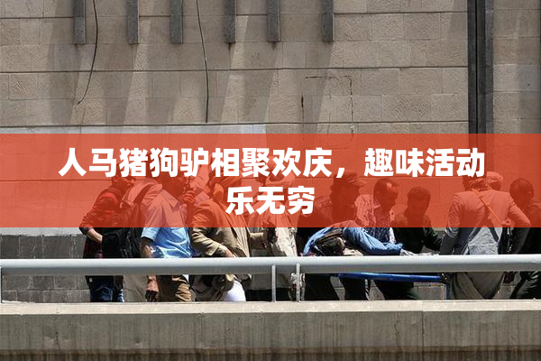 人马猪狗驴相聚欢庆，趣味活动乐无穷