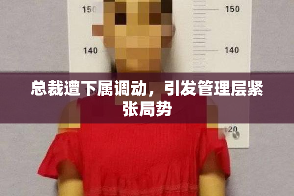 总裁遭下属调动，引发管理层紧张局势