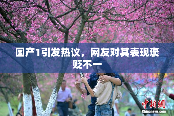 国产1引发热议，网友对其表现褒贬不一