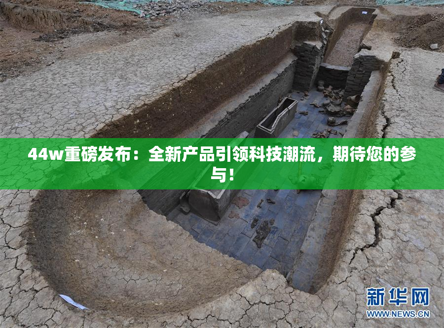 44w重磅发布：全新产品引领科技潮流，期待您的参与！