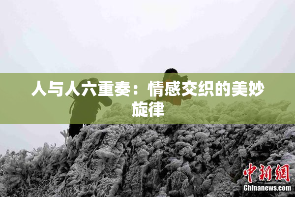 人与人六重奏：情感交织的美妙旋律