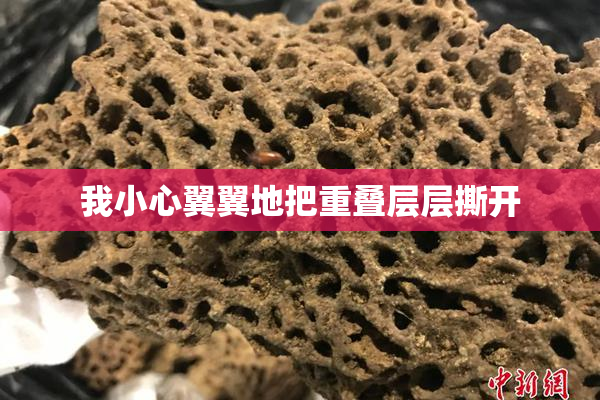 我小心翼翼地把重叠层层撕开