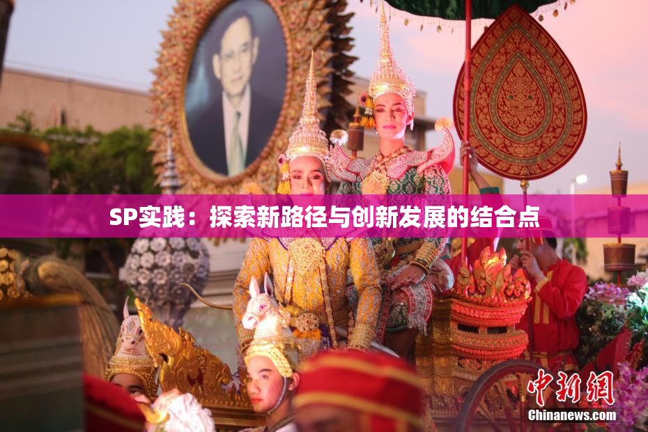 SP实践：探索新路径与创新发展的结合点