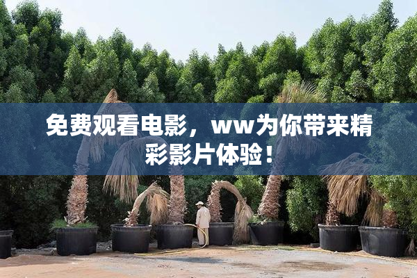 免费观看电影，ww为你带来精彩影片体验！