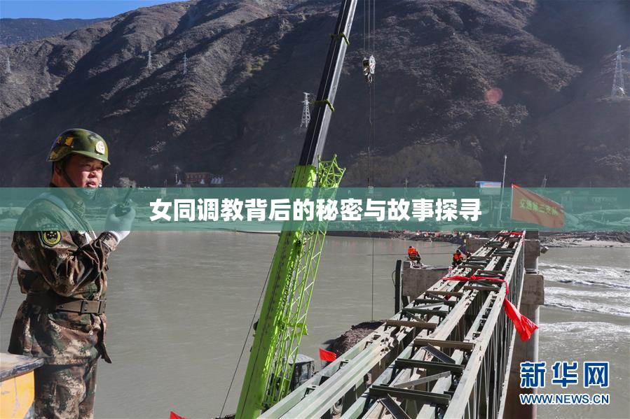 女同调教背后的秘密与故事探寻
