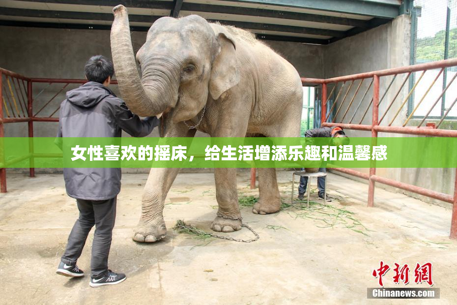 女性喜欢的摇床，给生活增添乐趣和温馨感