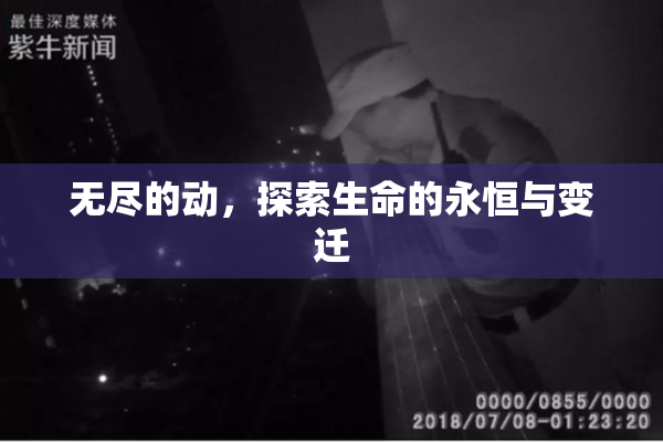 无尽的动，探索生命的永恒与变迁