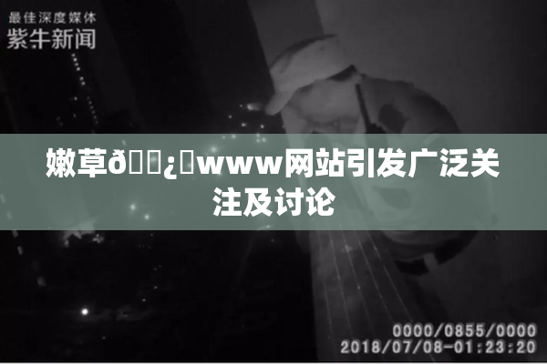 嫩草🌿‌www网站引发广泛关注及讨论