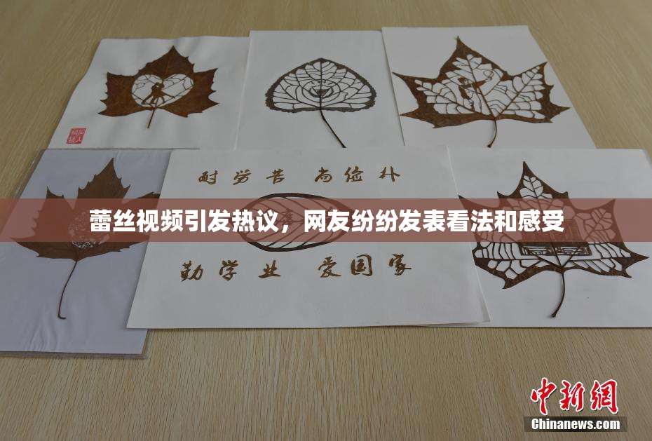 蕾丝视频引发热议，网友纷纷发表看法和感受