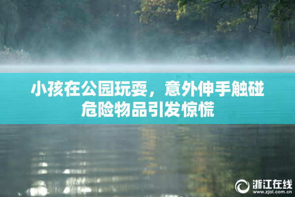 小孩在公园玩耍，意外伸手触碰危险物品引发惊慌