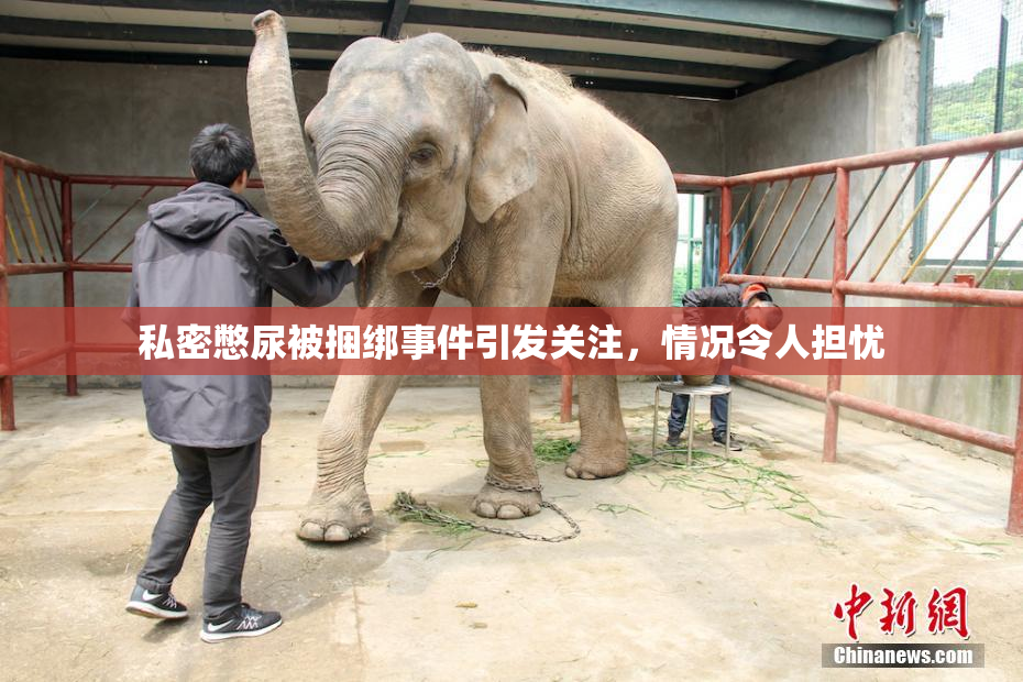 私密憋尿被捆绑事件引发关注，情况令人担忧