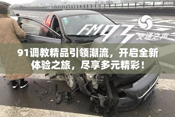 91调教精品引领潮流，开启全新体验之旅，尽享多元精彩！