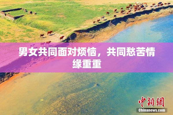 男女共同面对烦恼，共同愁苦情缘重重
