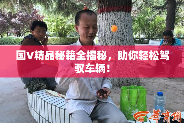 国V精品秘籍全揭秘，助你轻松驾驭车辆！