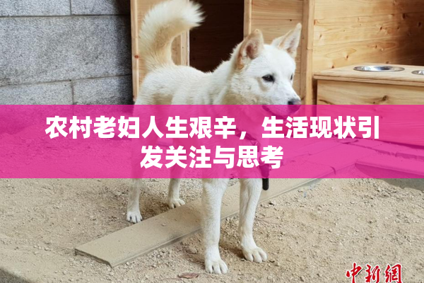 农村老妇人生艰辛，生活现状引发关注与思考
