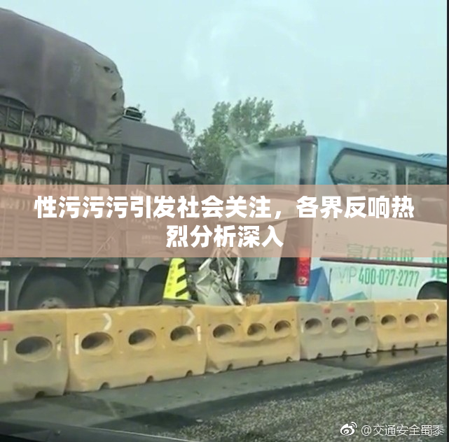 性污污污引发社会关注，各界反响热烈分析深入