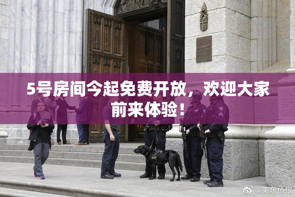 5号房间今起免费开放，欢迎大家前来体验！