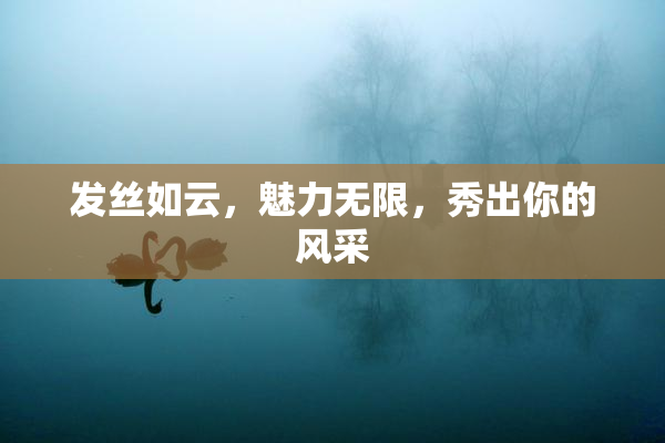 发丝如云，魅力无限，秀出你的风采