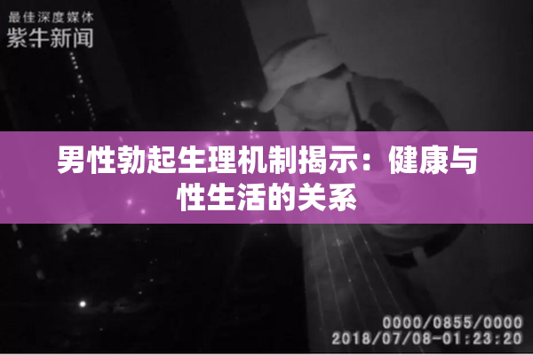 男性勃起生理机制揭示：健康与性生活的关系