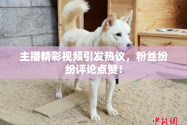 主播精彩视频引发热议，粉丝纷纷评论点赞！