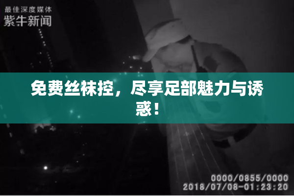 免费丝袜控，尽享足部魅力与诱惑！