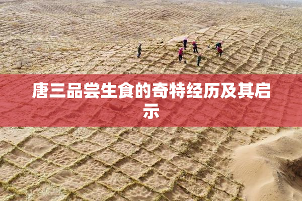 唐三品尝生食的奇特经历及其启示