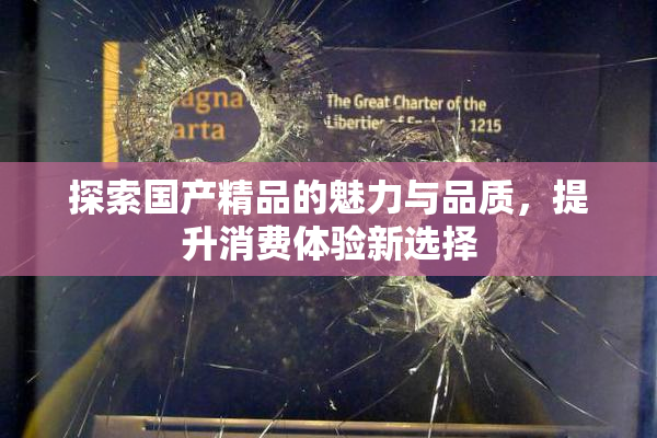 探索国产精品的魅力与品质，提升消费体验新选择