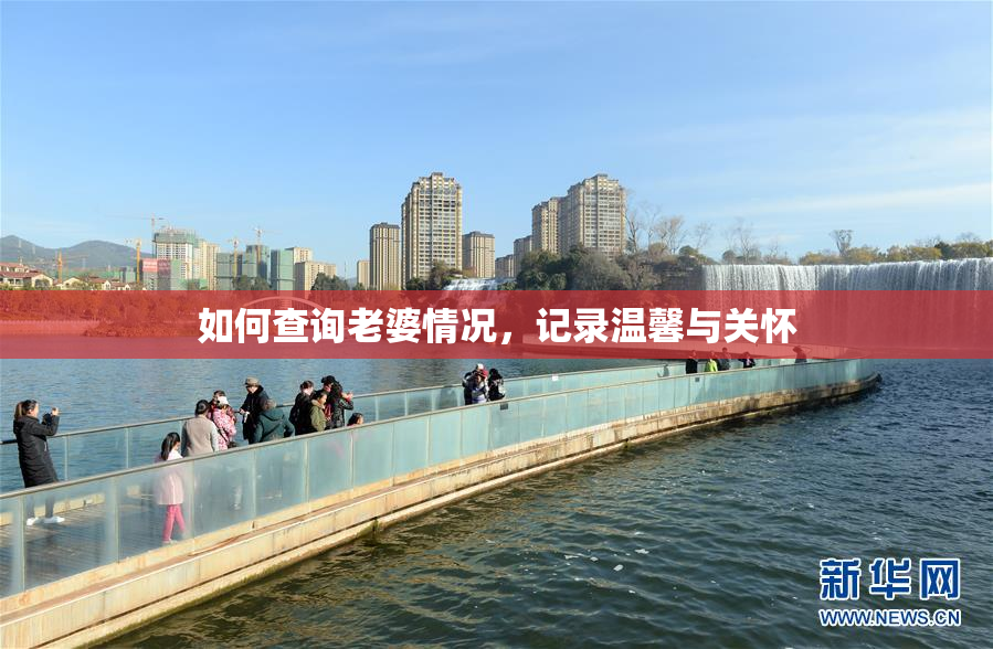 如何查询老婆情况，记录温馨与关怀