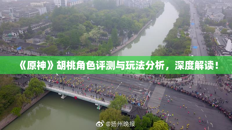 《原神》胡桃角色评测与玩法分析，深度解读！