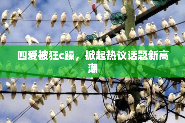 四爱被狂c躁，掀起热议话题新高潮