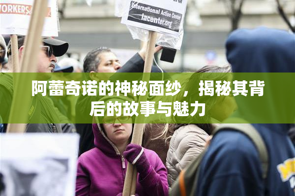 阿蕾奇诺的神秘面纱，揭秘其背后的故事与魅力
