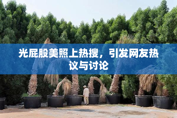 光屁股美照上热搜，引发网友热议与讨论