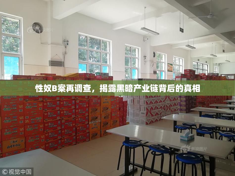 性奴B案再调查，揭露黑暗产业链背后的真相