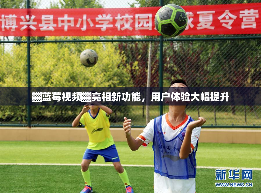 ▓蓝莓视频▓亮相新功能，用户体验大幅提升