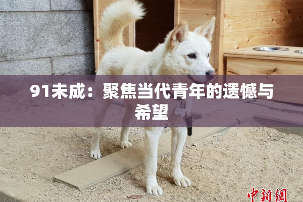 91未成：聚焦当代青年的遗憾与希望