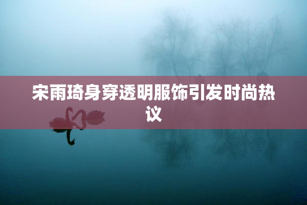 宋雨琦身穿透明服饰引发时尚热议