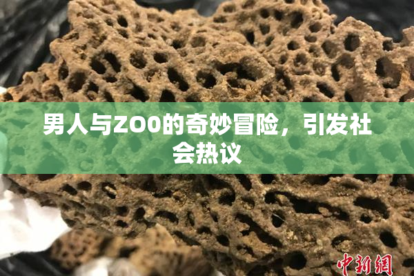 男人与ZO0的奇妙冒险，引发社会热议