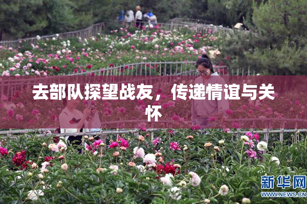 去部队探望战友，传递情谊与关怀